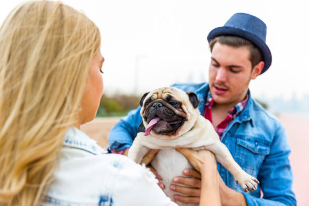 istock Honey, please hold down to him carefully. 652539314