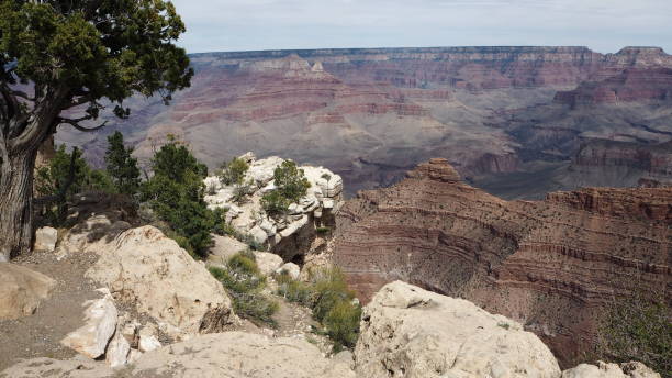 istock Cliff and canyons at Grand Canyon 652539440