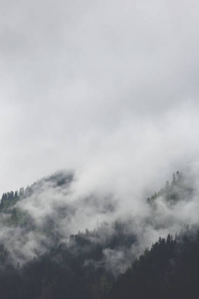istock foggy clouds hanging over alpine mountain forest 652548922