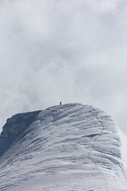 istock alpine landscape/rock formation, Mont Blanc massif, Chamonix 652549264