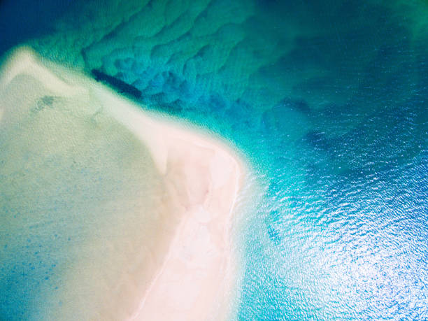 An aerial view of the beach in summer