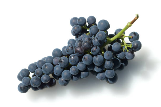 istock Merlot Noir; Red; wine 652578510