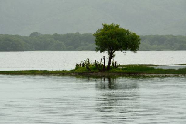 istock Killarney Lakes, Co Kerry, Ireland 652578704