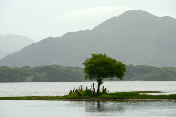 istock Killarney Lakes, Co Kerry, Ireland 652579126