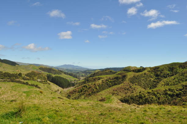 istock Green Hills in New Zealand 652584018