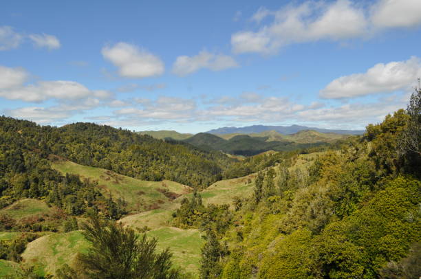 istock Green Hills in New Zealand 652584068