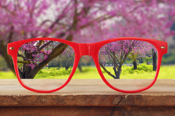 istock hipster glasses on a wooden table in front of cherry tree 652595528