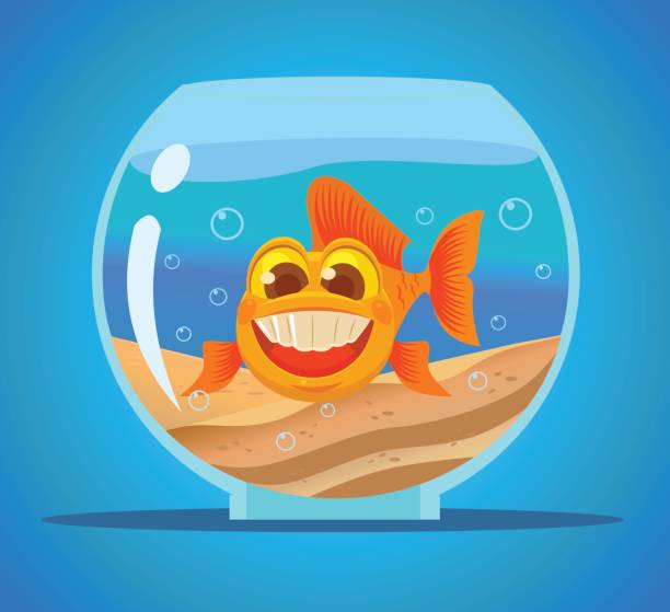 Aquarium fish character Vector flat cartoon illustration fish in a bowl stock illustrations