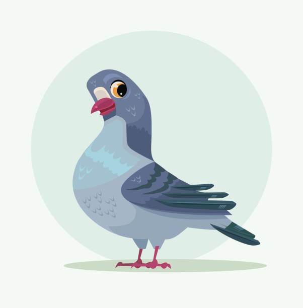 Cute Urban Gray Blue Dove Character Stock Illustration - Download Image Now  - Pigeon, Cartoon, Dove - Bird - iStock