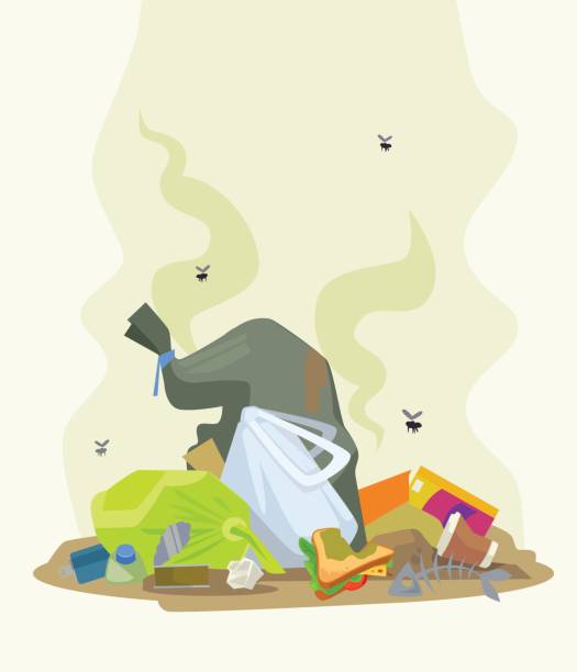 Garbage dump Vector flat cartoon illustration overflowing trash dumpster stock illustrations