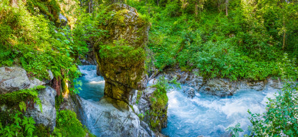 White water river rapids rushing through a steep forest canyon vibrant with summer foliage high in the French Alps of the Haute Savoie.