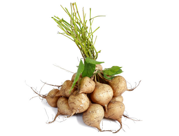 istock heap of Jicama isolated on white background. 652632188