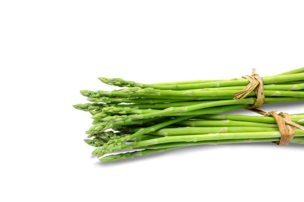 Bundle of asparagus on white background. Clipping paths. stock photo