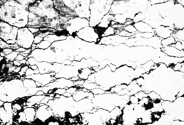 istock Invert marble texture white and black background,The marble texture white and black line,Marble texture background for design or decorate project. 652639728