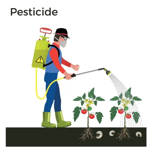 Vector illustration of Farmer sprays pesticide