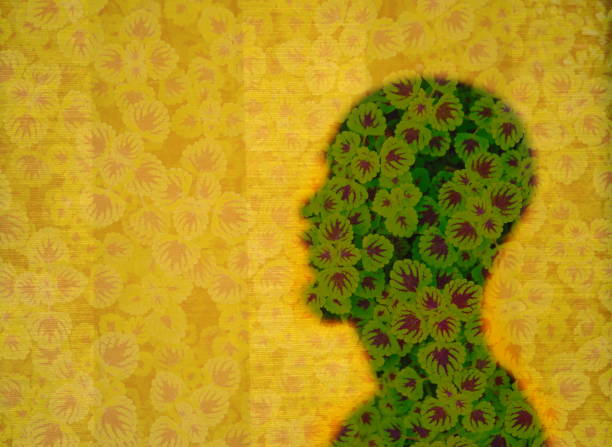 istock double exposure of green plant leave on man shadow 652661018