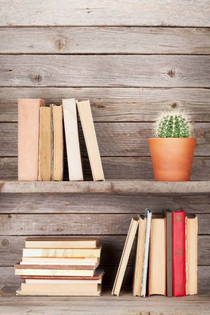 Old books on a wooden shelf and cactus plant. With copy space