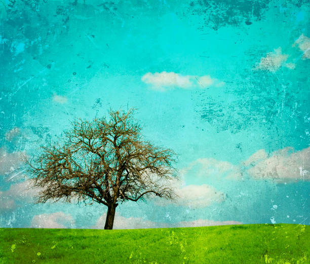 istock Vintage image of landscape with oak tree 652664038