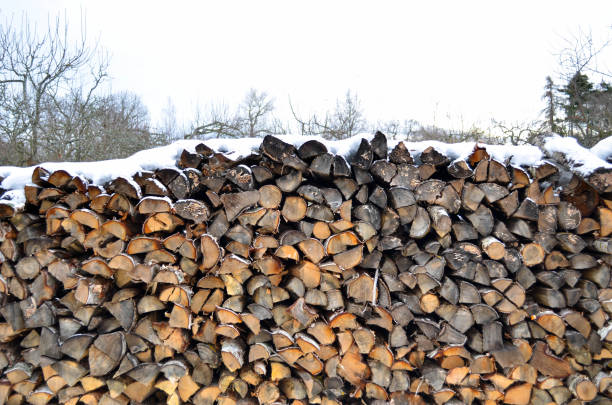 istock Wood logs background covered with snow 652666872