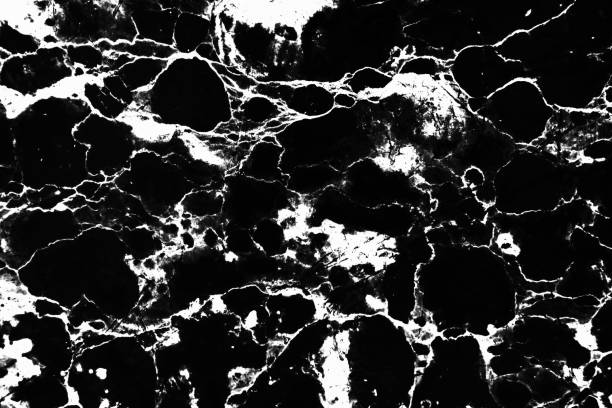 istock Invert marble texture white and black background,The marble texture white and black line,Marble texture background for design or decorate project. 652667450