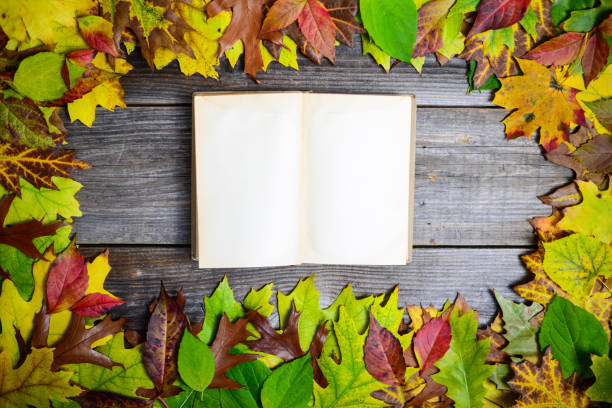 istock Autumn leaves and old book on the table 652667956
