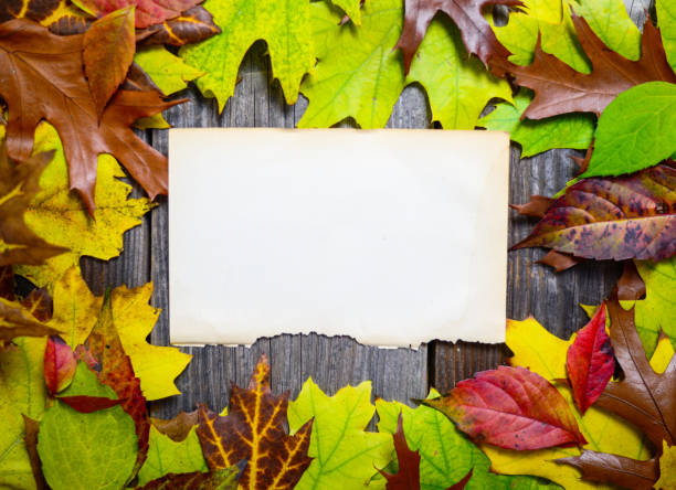 istock Blank paper on wooden table with autumn leaves 652668140