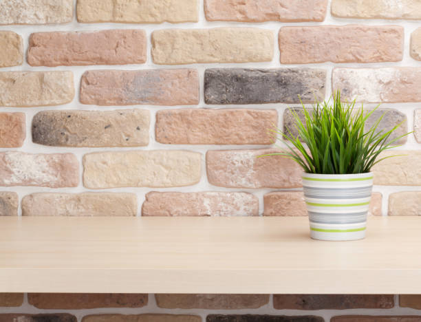istock Potted plant on shelf in front of brick wall 652671868