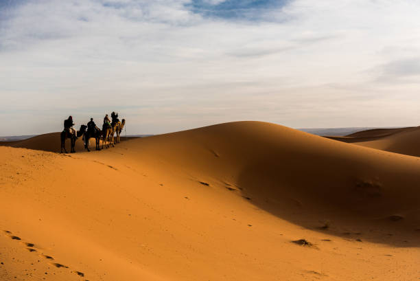 istock Camel ride in Sahara Desert 652675830