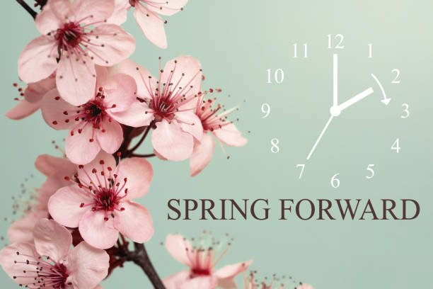 Spring Forward Spring Blossoms on Cyan Background / Daylight Saving Time Begins Concept daylight saving time stock pictures, royalty-free photos & images