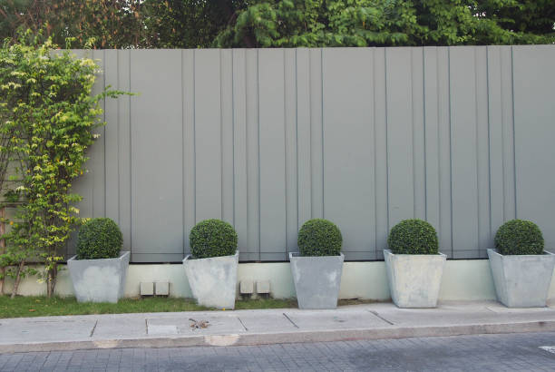 istock Trees planted in pots in front of a gray wall. 652700886