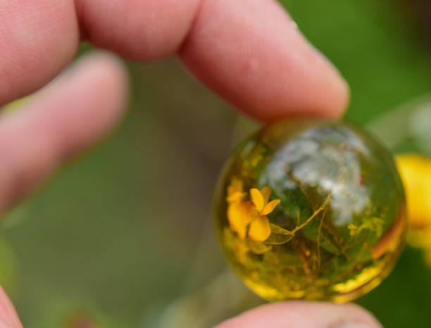 istock Dominican Amber Bead Showing Flower on transparency 652705050