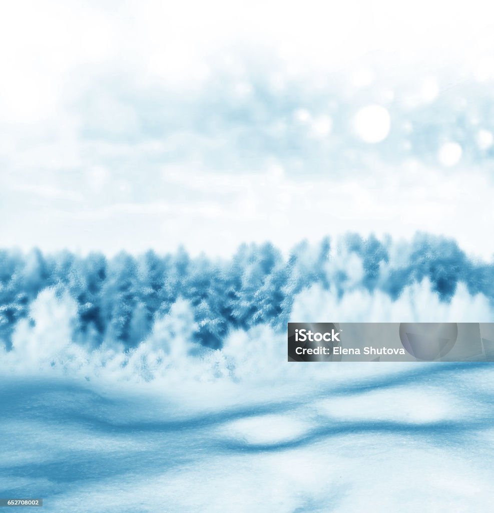 Snow covered trees. forest in the frost. Winter landscape. Snow covered trees. Backgrounds Stock Photo