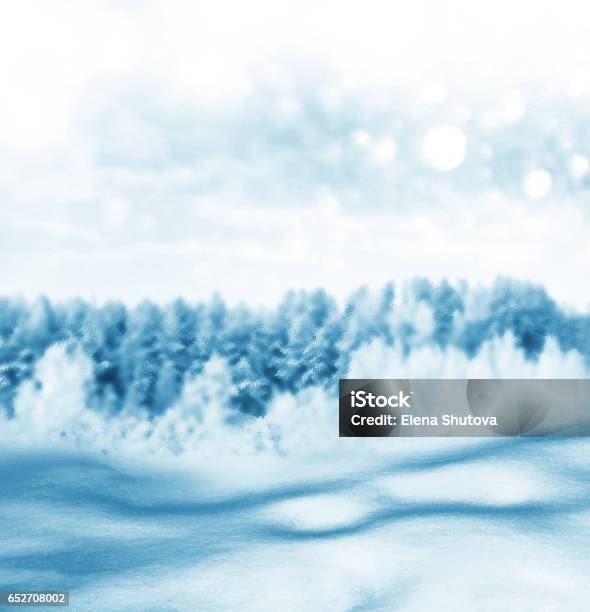 Snow Covered Trees Stock Photo - Download Image Now - Backgrounds, Beauty, Blue