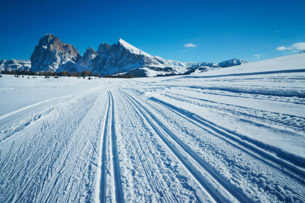 istock skiing tracks in snow covered Dolomite alps landscape with mountains 652708618