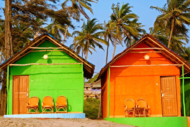 istock Colorful Bungalows on a Palm Beach in Goa, India 652708696