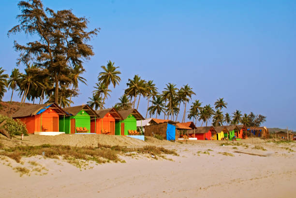 istock Colorful Bungalows on a Palm Beach in Goa 652708702