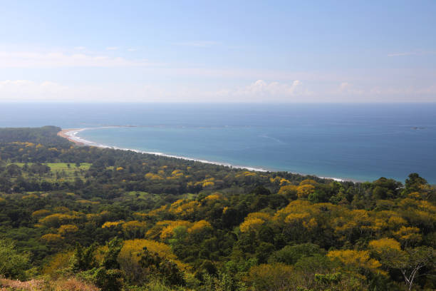 istock Pacific Ocean Coastline in Costa Rica 652708714