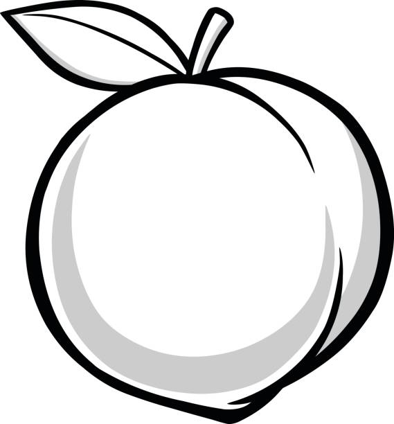 pfirsich-illustration - georgia peach stock-grafiken, -clipart, -cartoons und -symbole