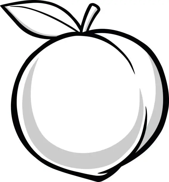 Vector illustration of Peach Illustration