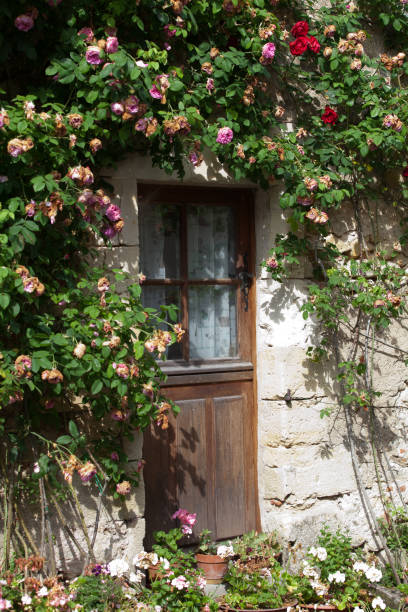 istock cottage with roses around door 652725548