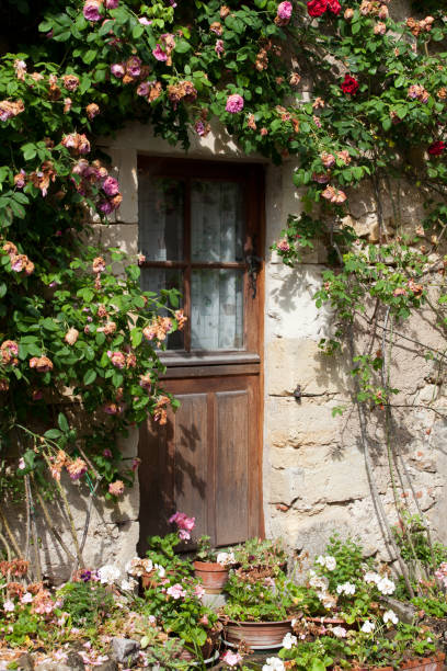 istock cottage with roses around door 652725554