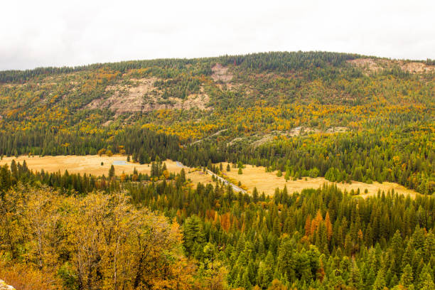 シエラネバダ渓谷の秋に色をつなぎ合わす - foothills parkway ストックフォトと画像