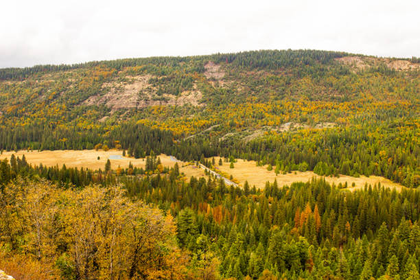 chainging colors in fall in sierra nevada valley - foothills parkway imagens e fotografias de stock