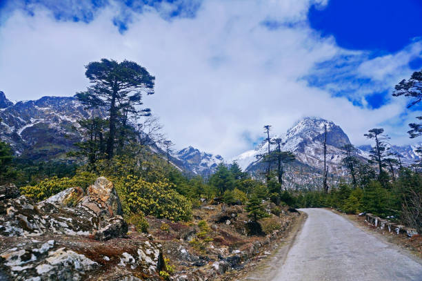 camino en medio de montañas nevadas en la región montañosa de gran altitud de los himalayas - sikkim fotografías e imágenes de stock