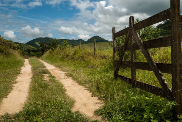 otwarta brama farmy, witamy, minas gerais, brazylia - farm gate zdjęcia i obrazy z banku zdjęć