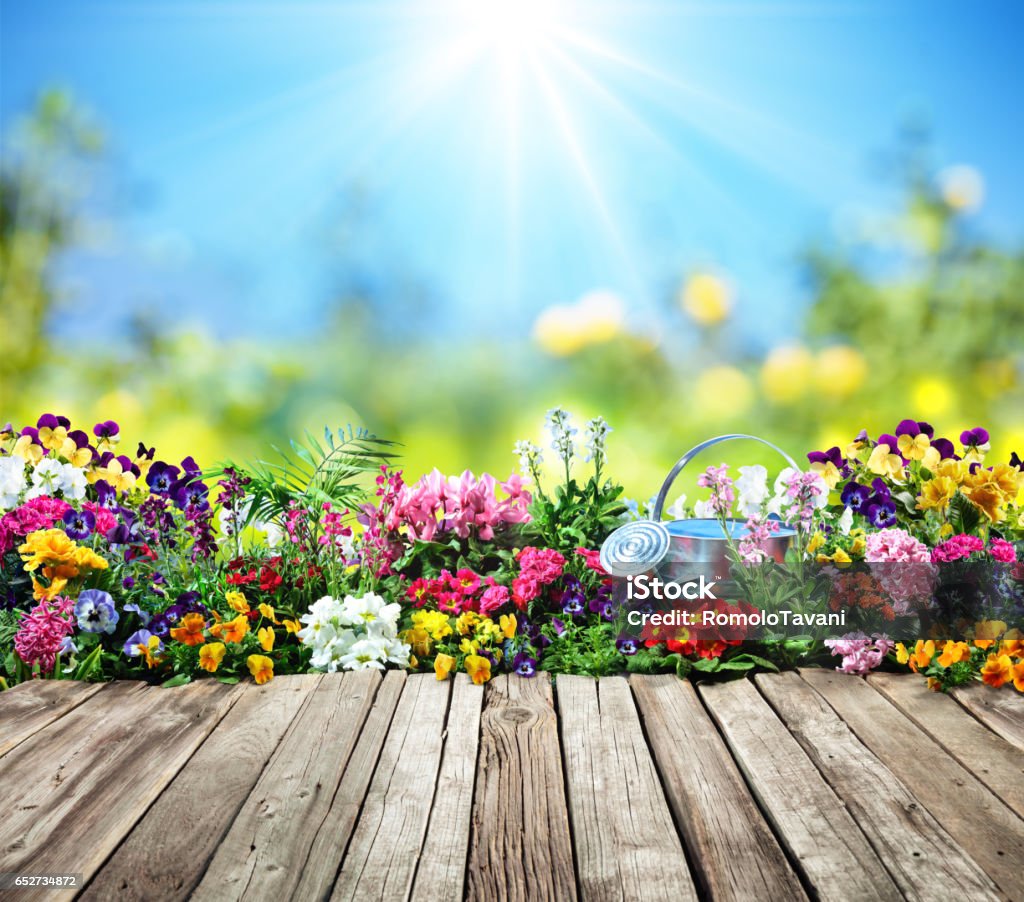 Schreibtisch aus Holz mit Blumen im Garten - Lizenzfrei Blume Stock-Foto