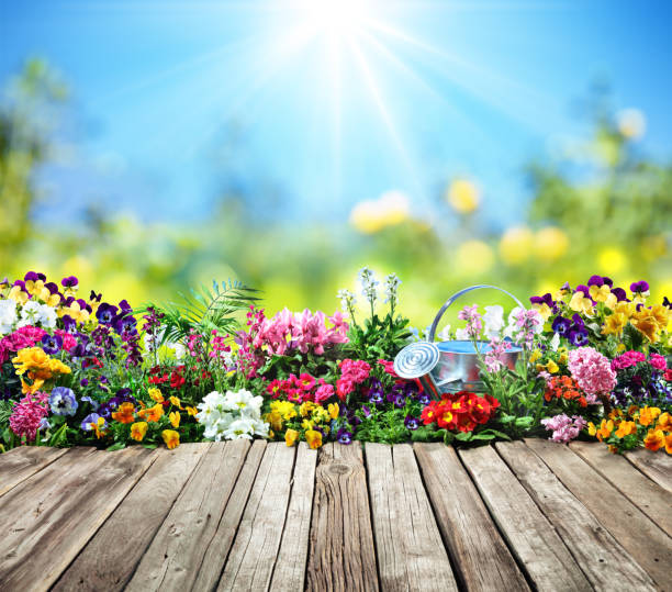 escritorio de madera con flores en el jardín - colourful flowers fotografías e imágenes de stock