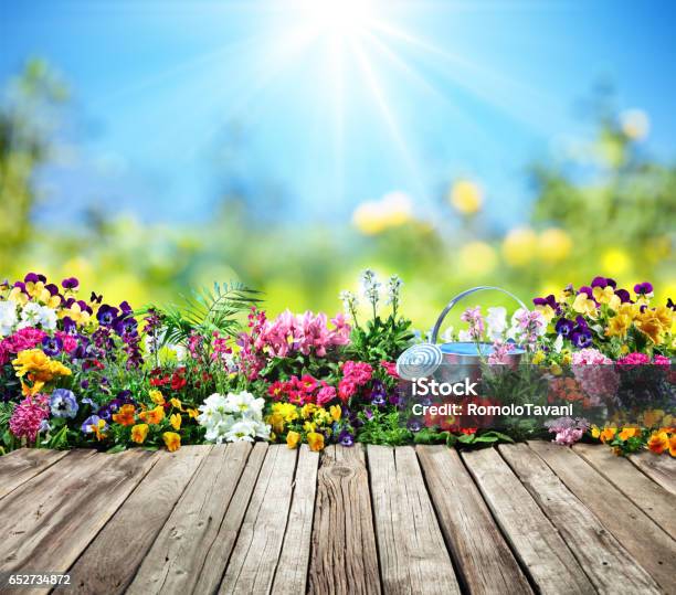 Wooden Desk With Flowers In Garden Stock Photo - Download Image Now - Flower, Yard - Grounds, Springtime