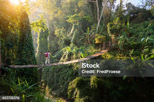 istock Backpacker on suspension bridge in rainforest 652735376