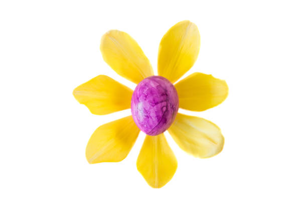Flower made of a pink easter egg and yellow tulip blossom